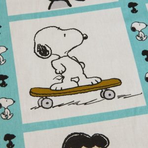 Snoopy e Amigos